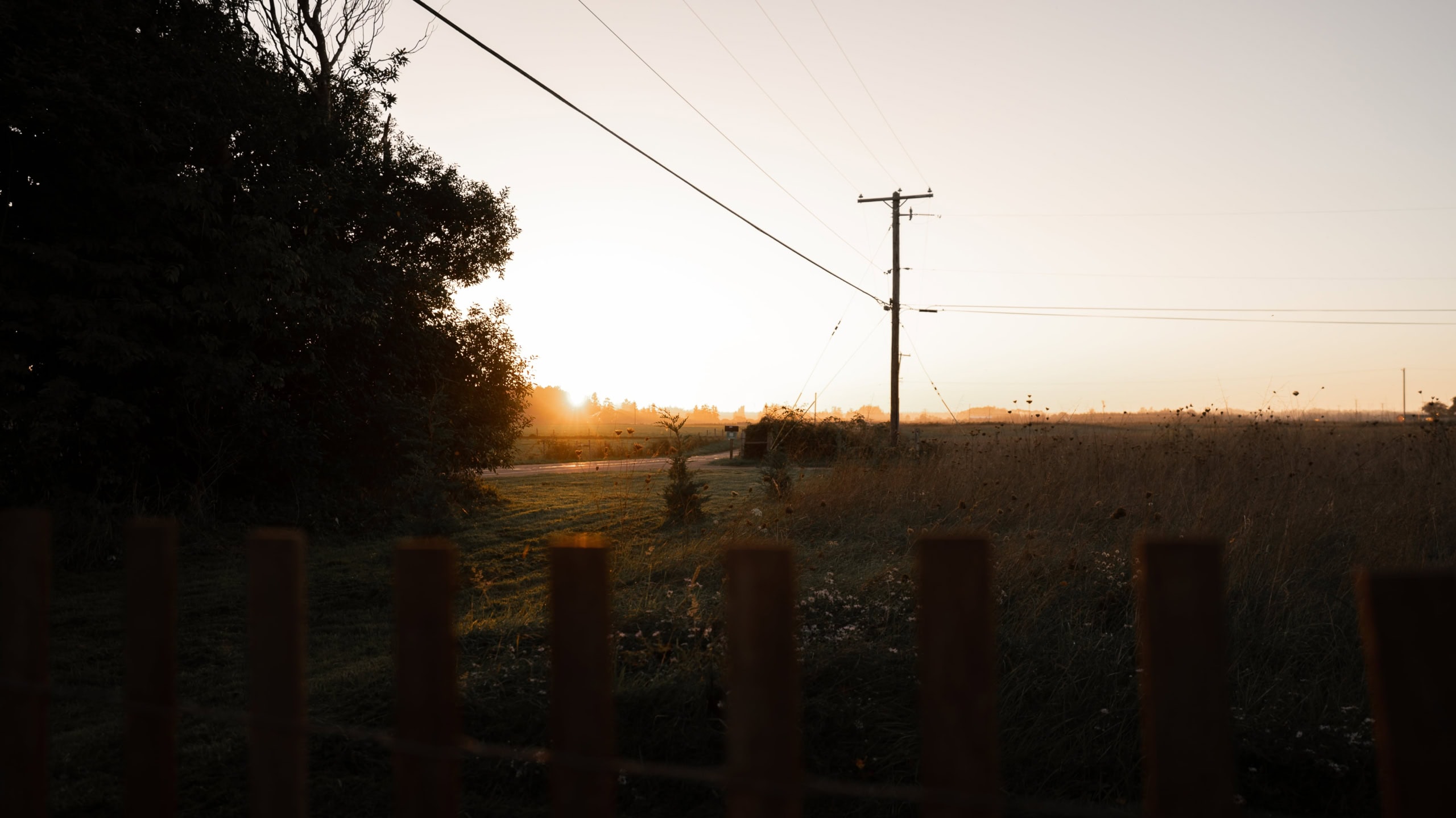 As the last light of golden hour fades over the fields, we stand at the fence, soaking in the quiet beauty of Northern California. In these final moments of the day, with the sun setting over the horizon, it’s a reminder of the peace we’ve found in this life on the road – where the simple moments of nature often leave the deepest impression.