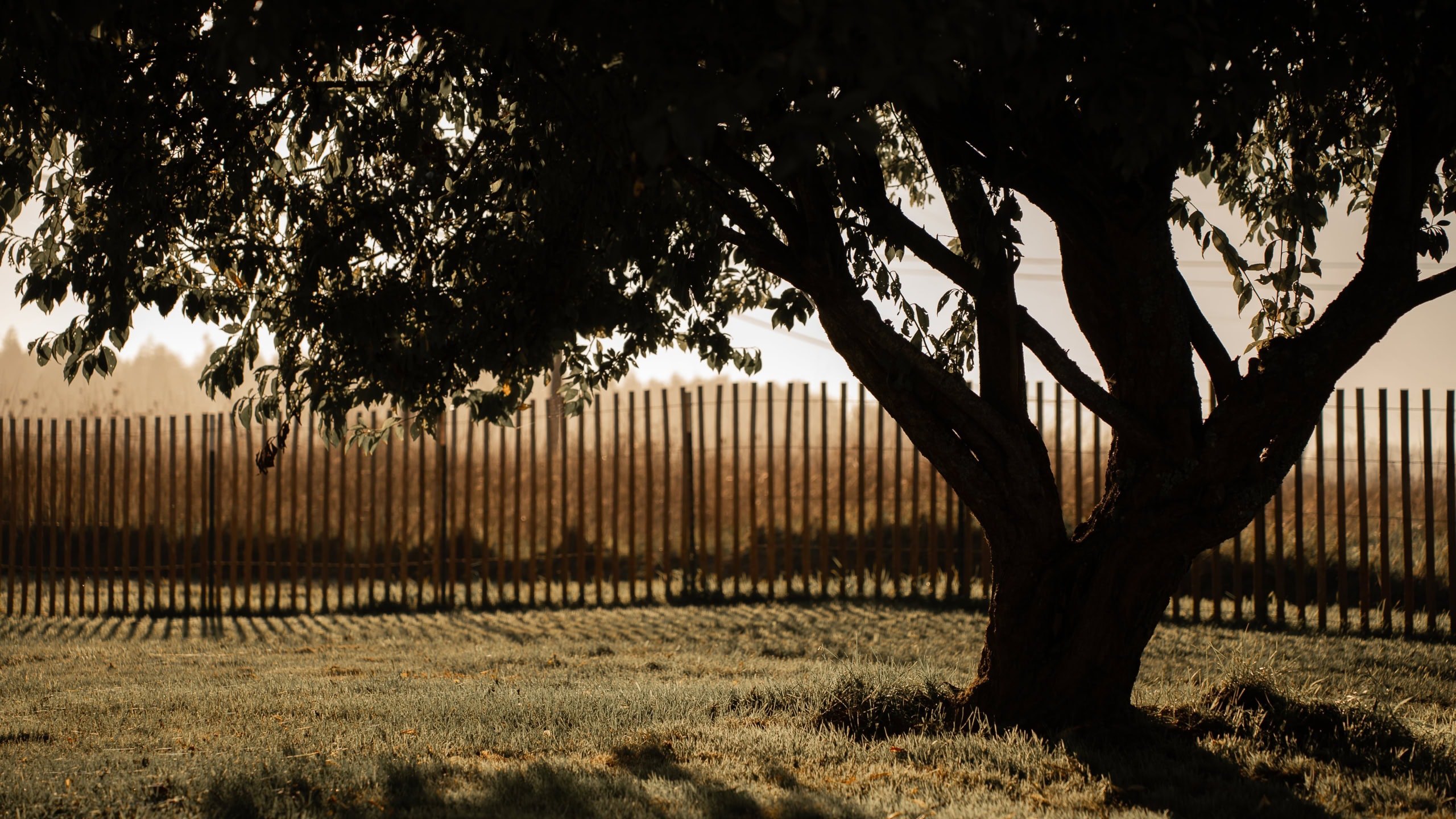 Under the shade of this tree, we found a moment of stillness, enjoying the afternoon breeze and the sunset as it painted the sky. This was the perfect spot to sit back, relax, and reflect on the beauty of our full-time travel journey – a quiet reminder that sometimes the simplest moments are the most special.