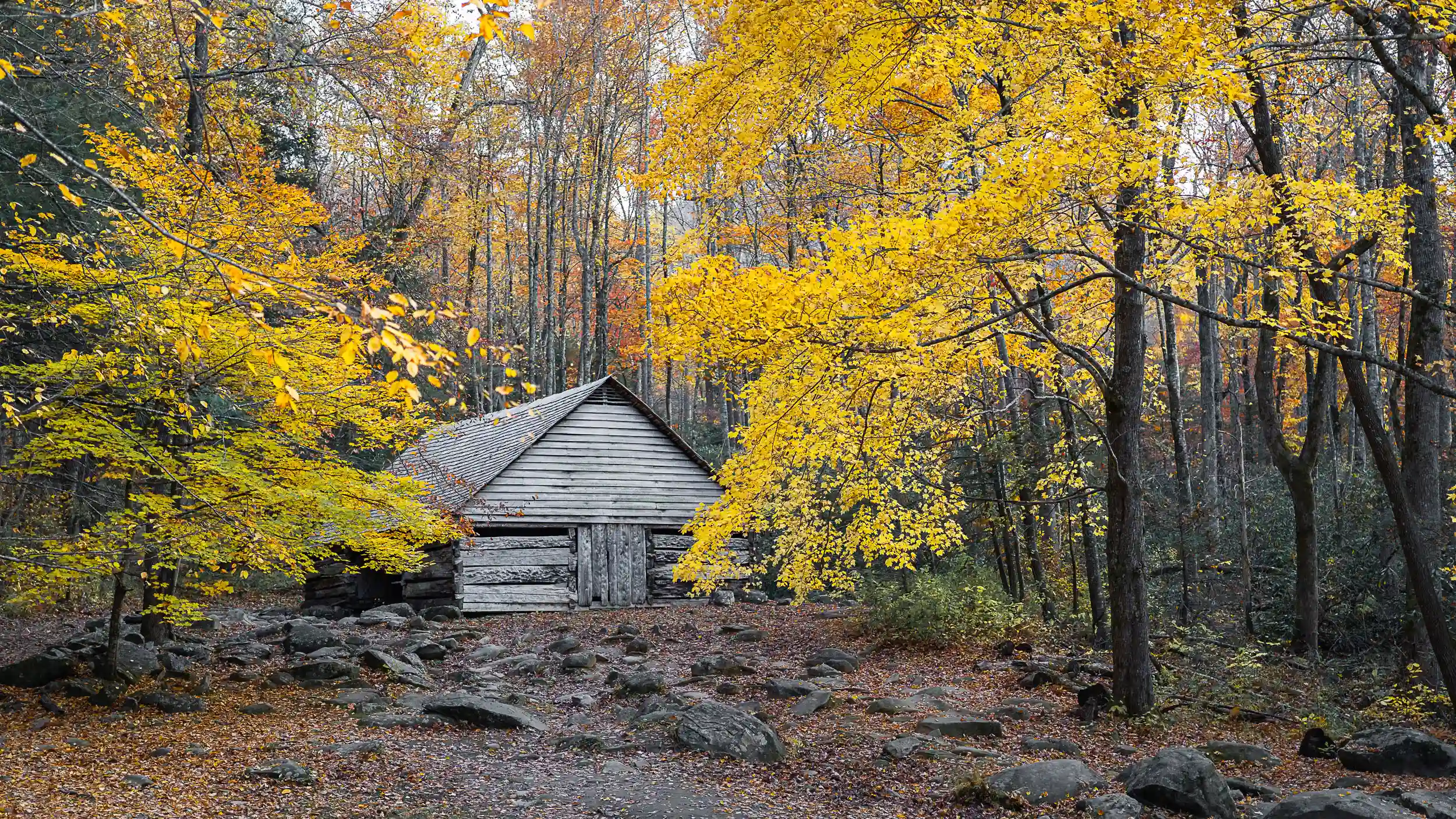 Noah Bud Ogle Cabin on Roaring Fork Motor Nature Trail surrounded by fall foliage