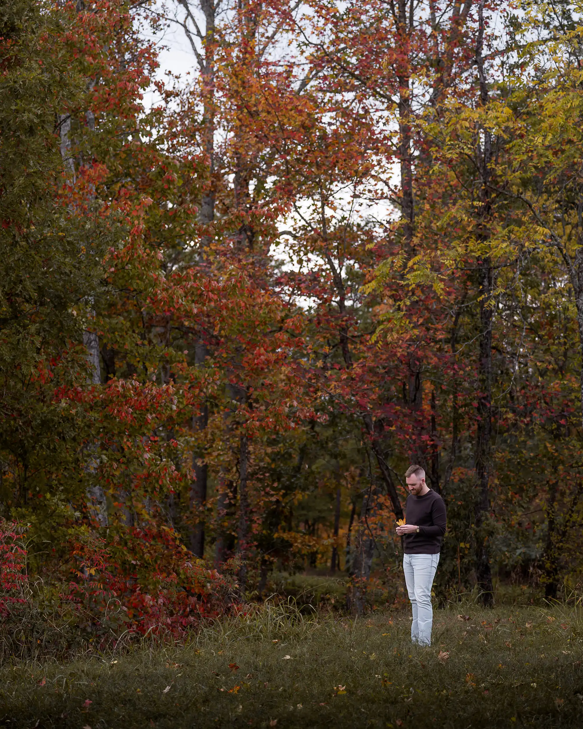 Man standing in a grassy field with colorful autumn leaves in the Great Smoky Mountains during peak fall season.