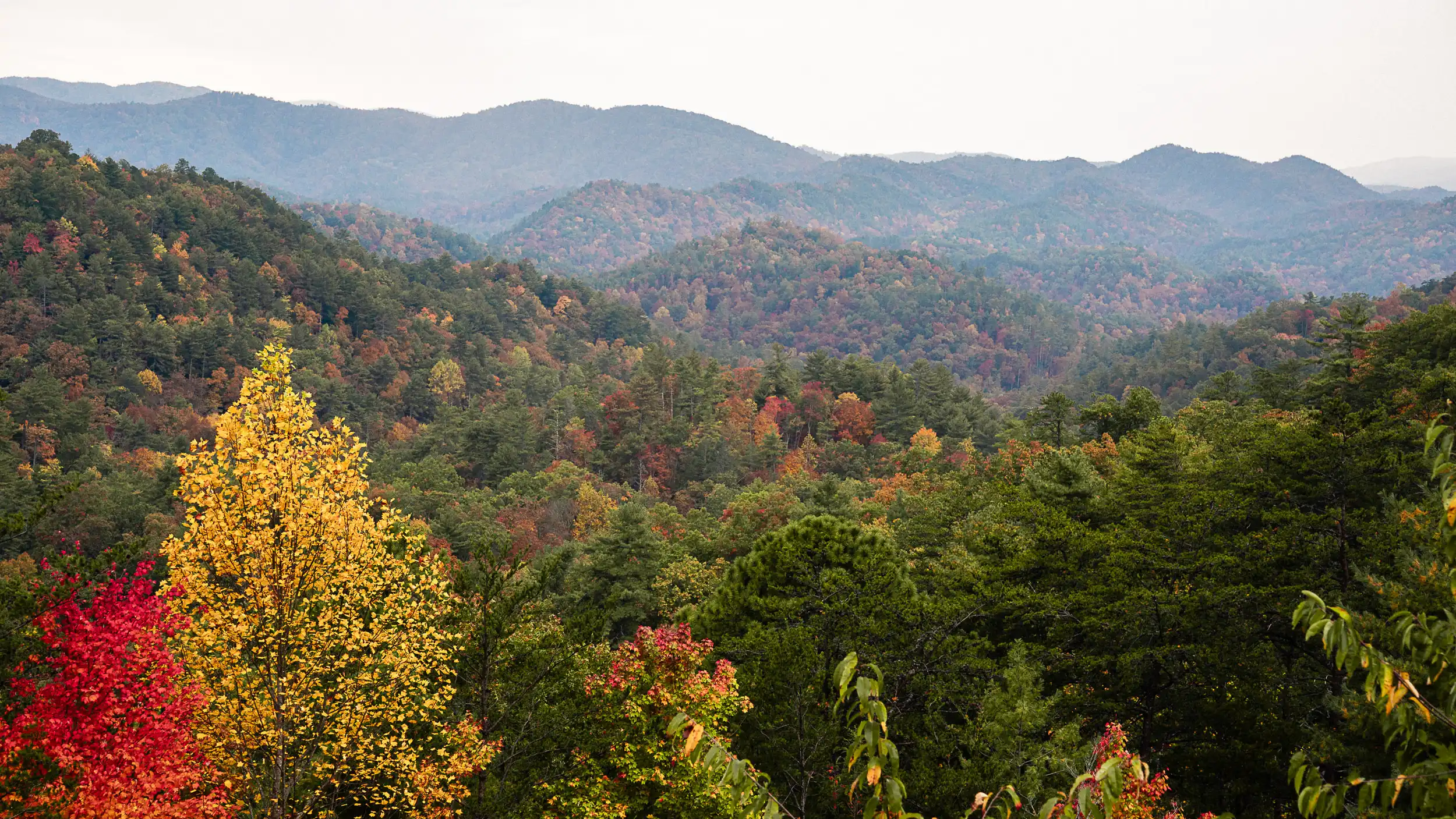 Layered Smoky Mountain ridges with vibrant fall foliage in peak season