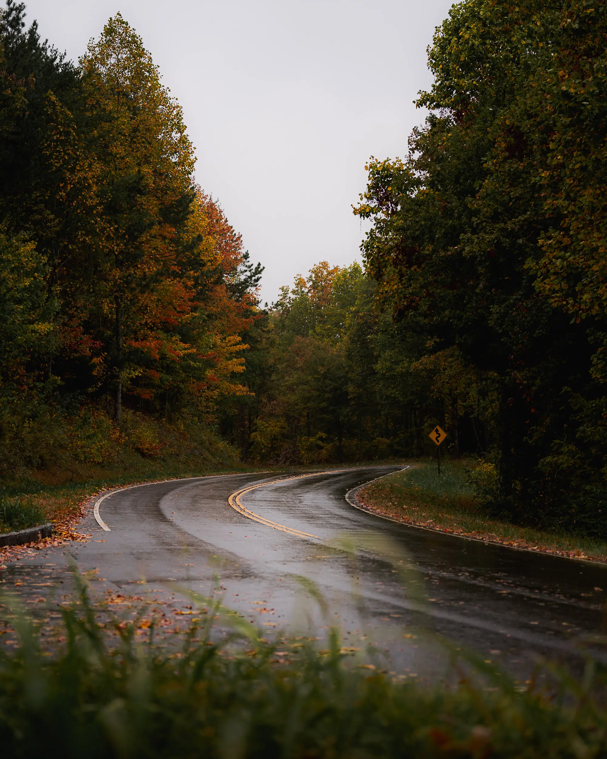 Curvy Foothills Parkway road with leaves during fall colors in the Smoky Mountains 2025