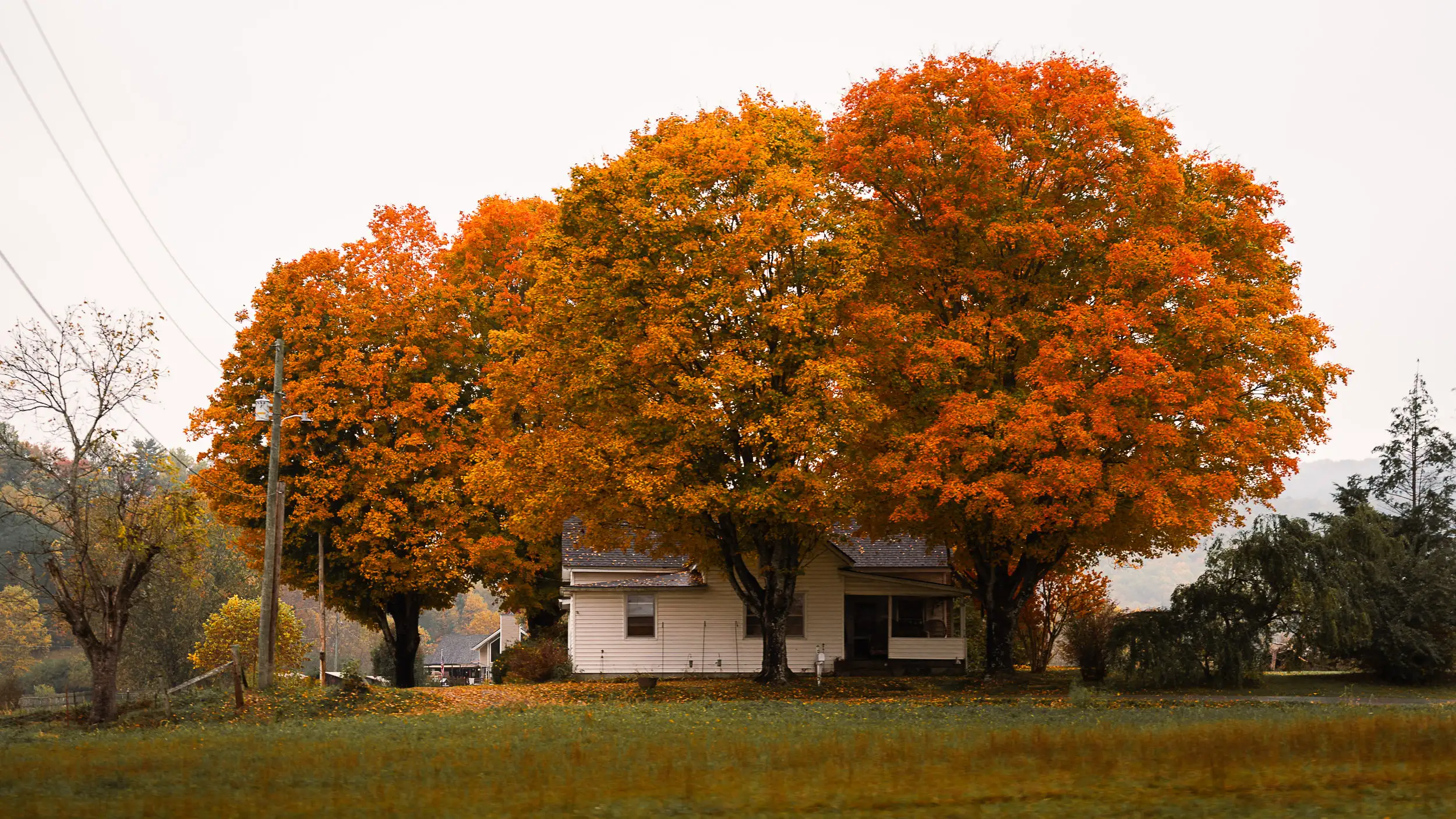 White farmhouse framed by bright orange and yellow maple trees at peak fall color in the Smoky Mountains.