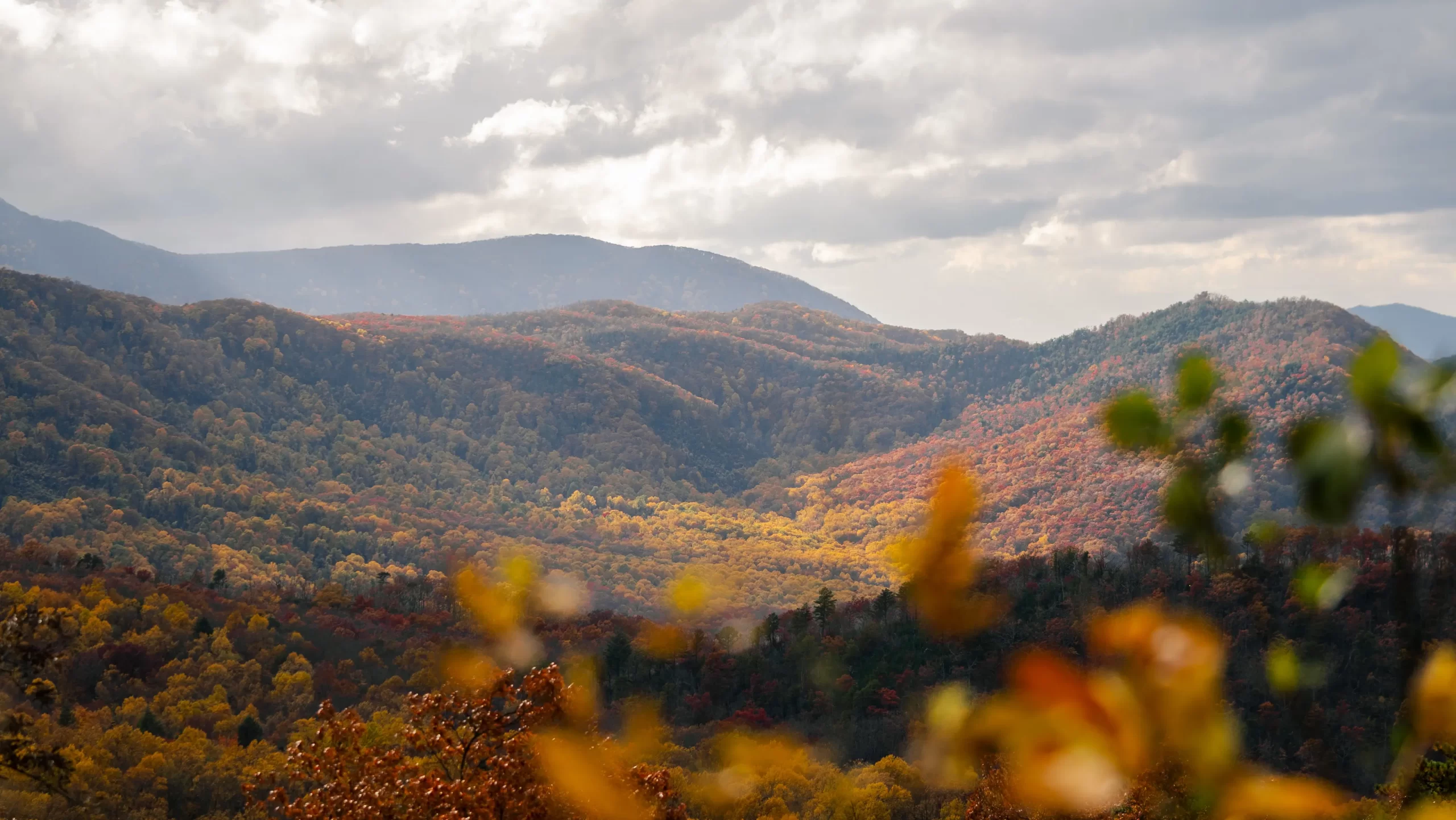 Layered Smoky Mountain ridges glowing with fall colors near Sugarlands Valley Nature Trail