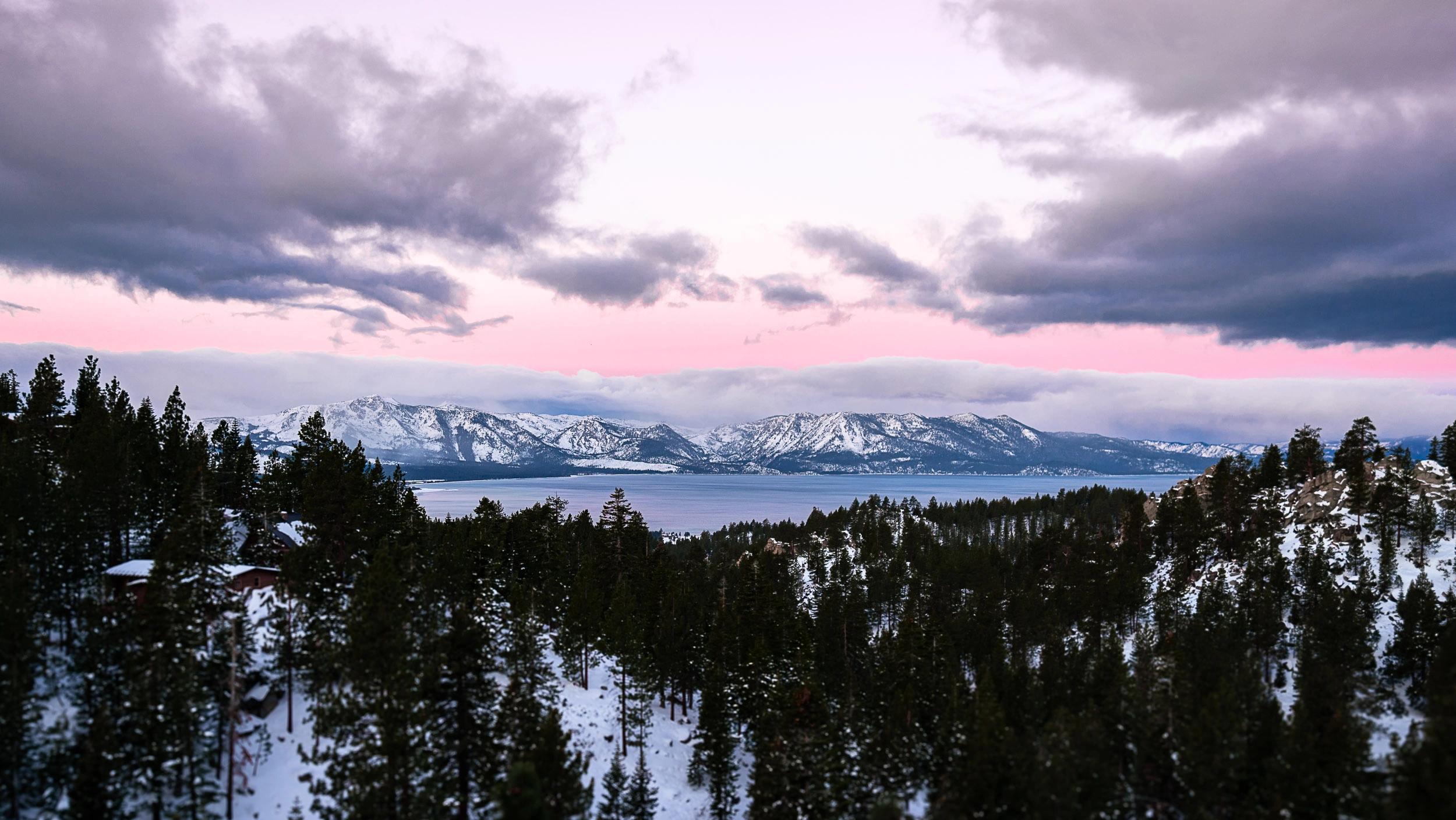 Early morning view of Lake Tahoe with snow-covered peaks, a frosted forest in the foreground, and pastel pink sunrise colors glowing in the sky.
