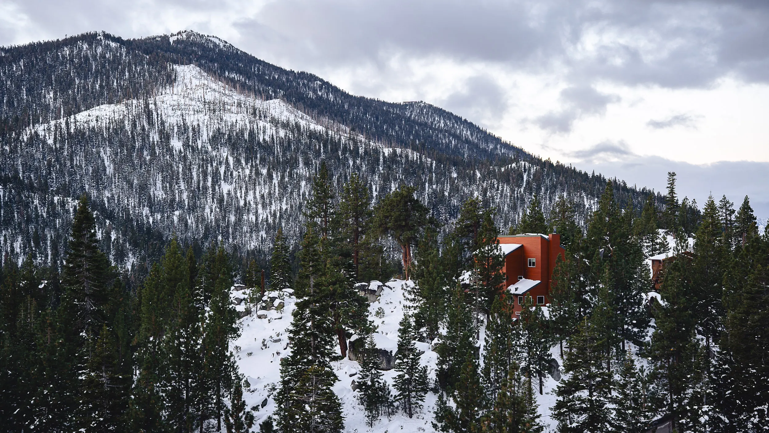 Cozy snow-covered cabin surrounded by a winter forest with a large snowy mountain in the background.