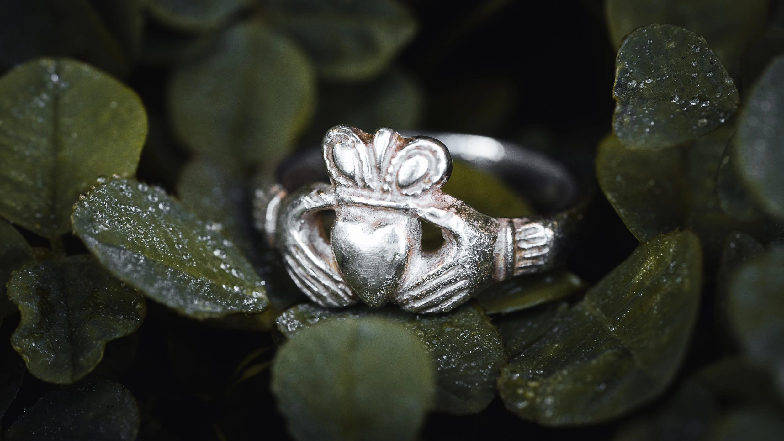 Traditional Claddagh ring from Galway surrounded by green clover